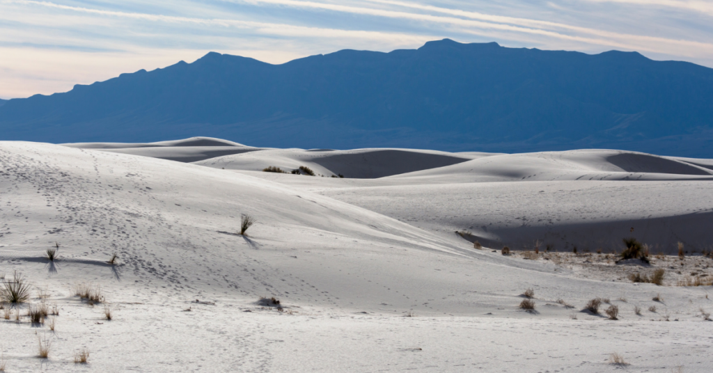 Footprints in the white gypsum sand at White Sands National Park