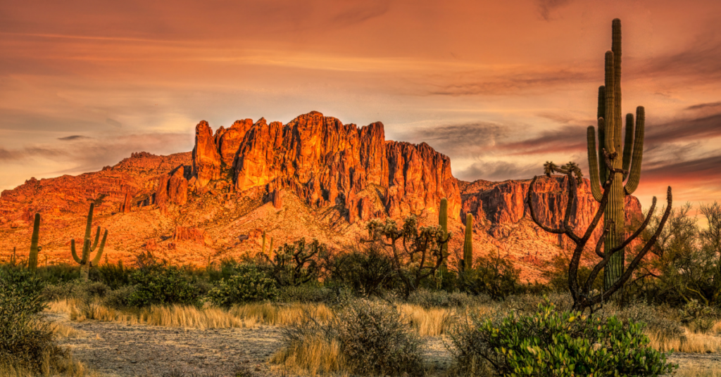The Superstition Mountains during a sunset with a saguaro cactus in the foreground