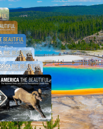 National Park pass options with the vibrate Grand Prismatic in the background